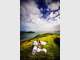 Total Weddings