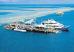 Island Resort Whitsundays Accommodation