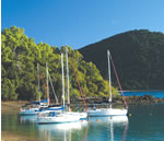 Long Island Whitsundays Accommodation