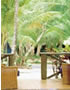 Hamilton Island Palm Bungalows Resort Whitsundays