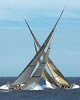 Extreme Sailing Whitsundays