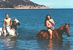 Horseriding Magnetic Island